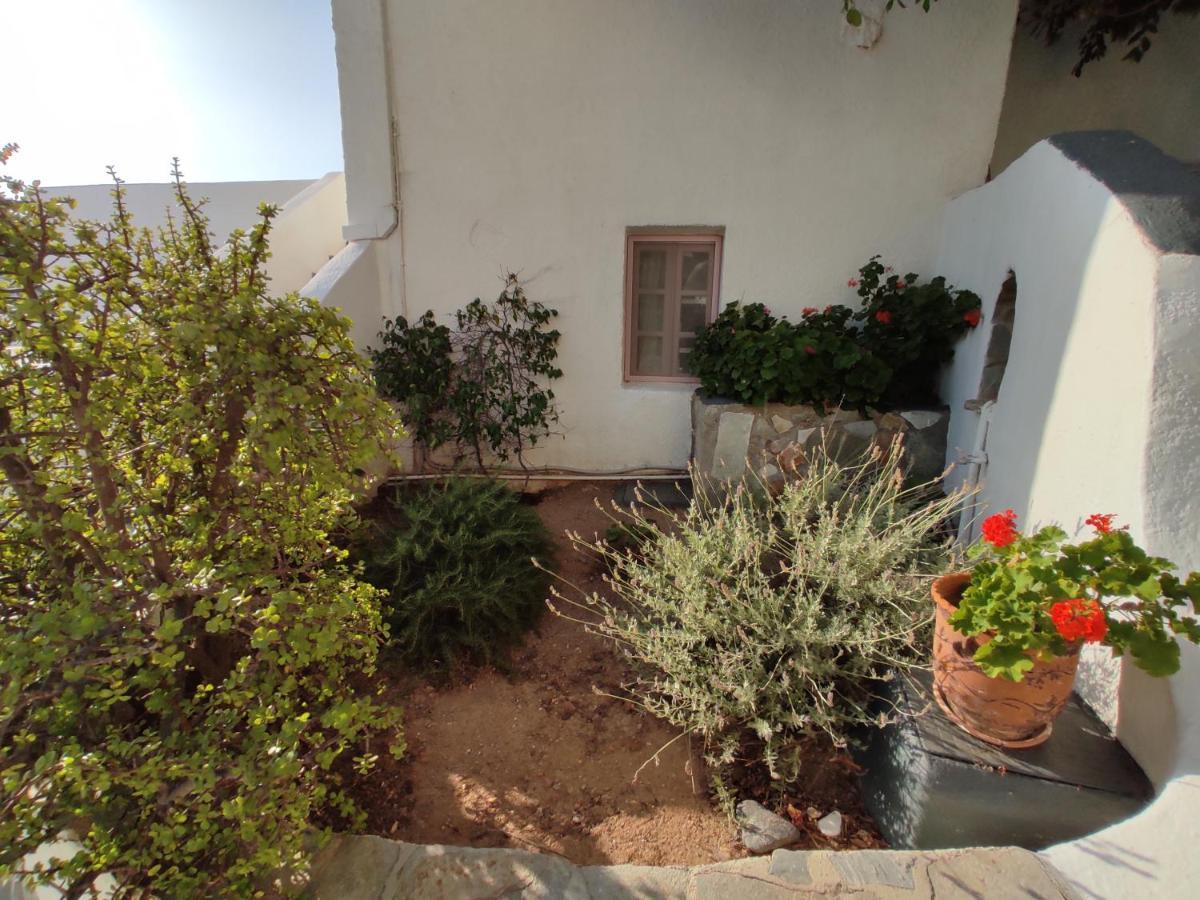 Porto Sikinos Hotel Alopronia Bagian luar foto